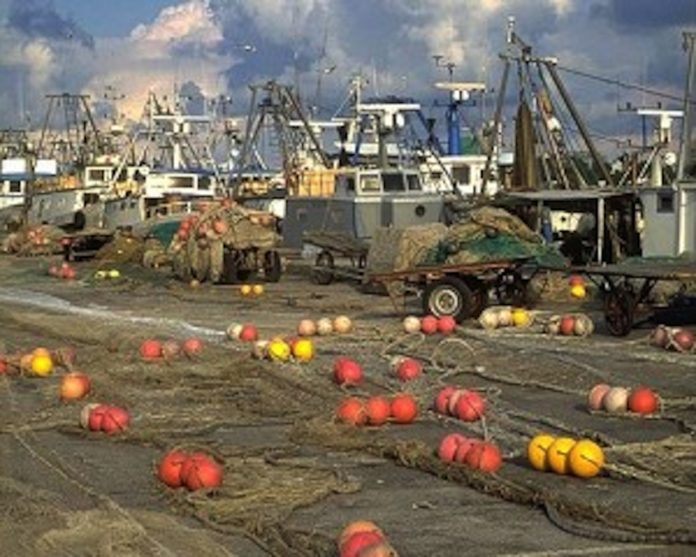 fermo-pesca
